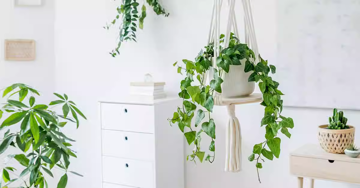 Rattan Indoor Furniture: A Stylish and Sustainable Choice for Your Home
