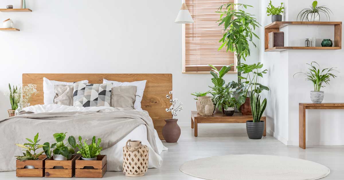 Indoor Furniture Group Limited: Understanding the Owner Behind the Brand